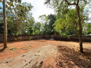 නිට්ටඹුව ඉඩම විකිණීමට