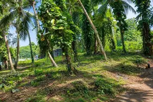 47.5 Perch Valuable Land for Sale in Piliyandala Kahapola