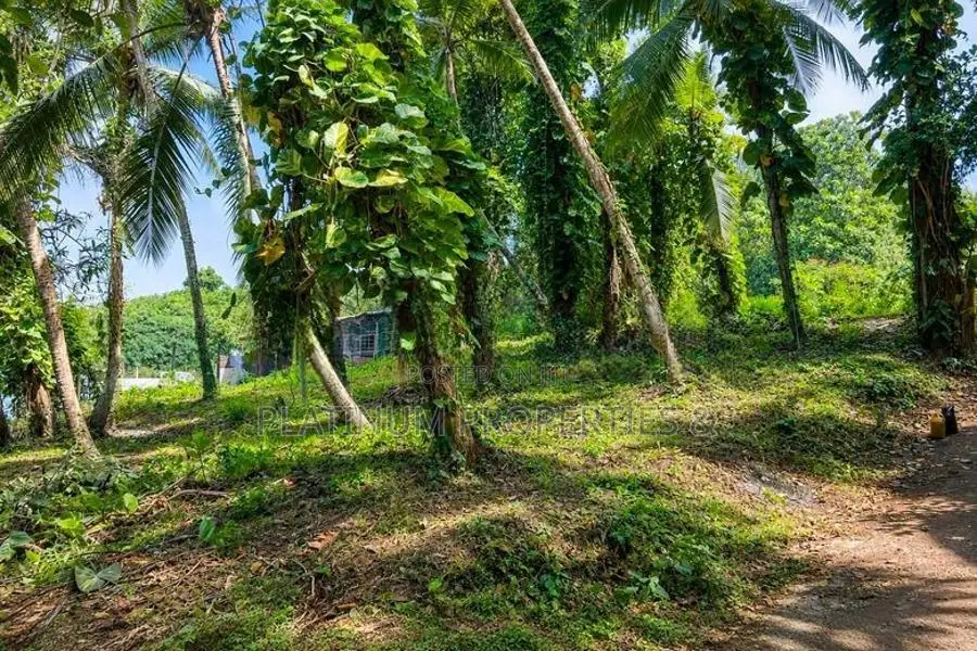 47.5 Perch Valuable Land for Sale in Piliyandala Kahapola
