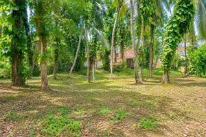 47.5 Perch Valuable Land for Sale in Piliyandala Kahapola