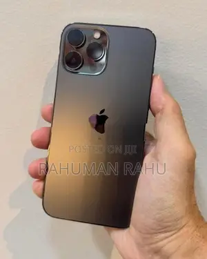Apple iPhone 13 Pro Max (Used)