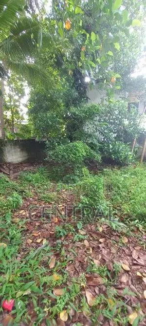 11 Perches Land for Sale in Peters Lane, Dehiwala (C7-10910)