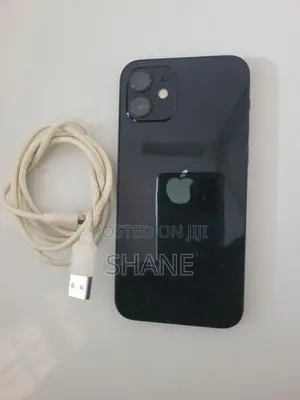 Apple iPhone 12 (Used)