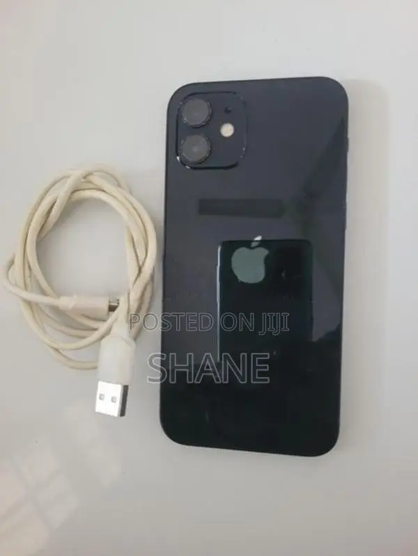 Apple iPhone 12 (Used)
