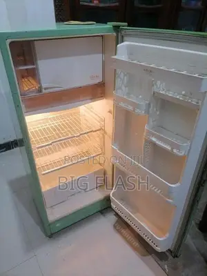 Singer Fridge