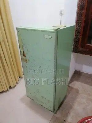 Singer Fridge