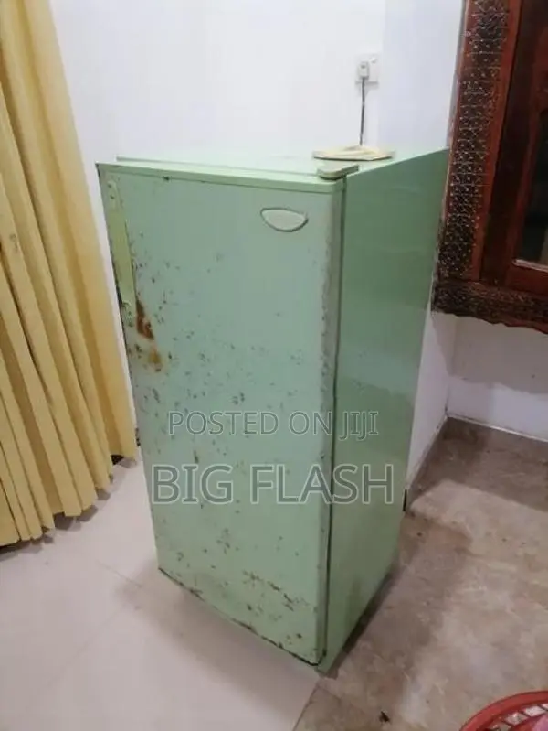 Singer Fridge