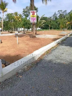 උයන්වත්ත වැව පාර බණ්ඩාරගම වැදගත් පරිසරයක පදිංචියට බිම් කොටස්