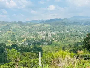Lands for Sale in Pussellawa