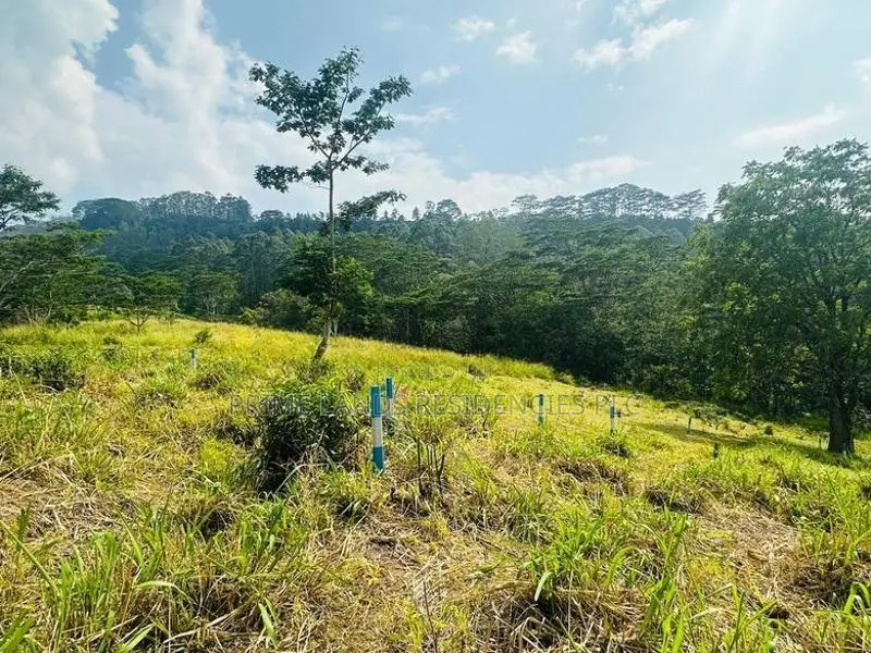 Lands for Sale in Pussellawa
