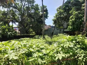 Land for Sale Borelesgamuwa