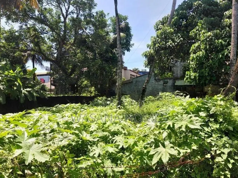 Land for Sale Borelesgamuwa