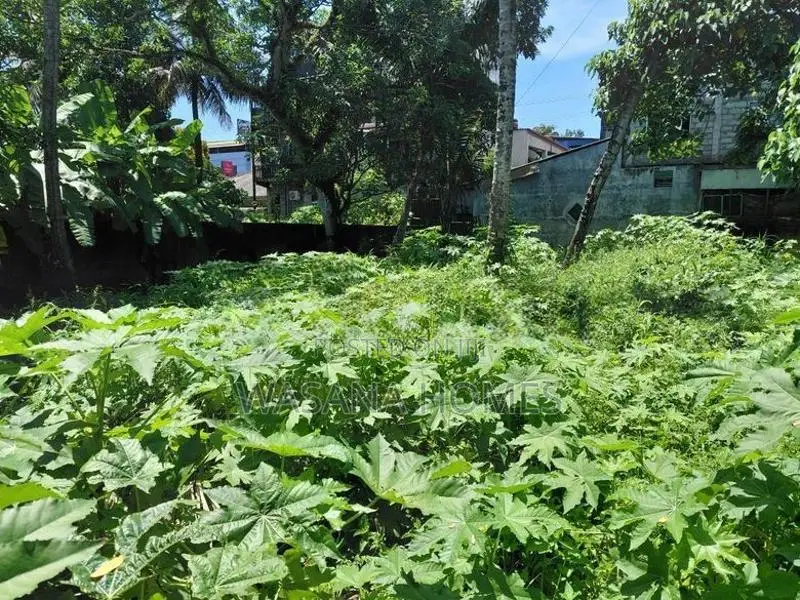 Land for Sale Borelesgamuwa