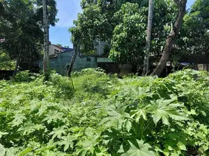 Land for Sale Borelesgamuwa