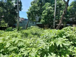 Land for Sale Borelesgamuwa