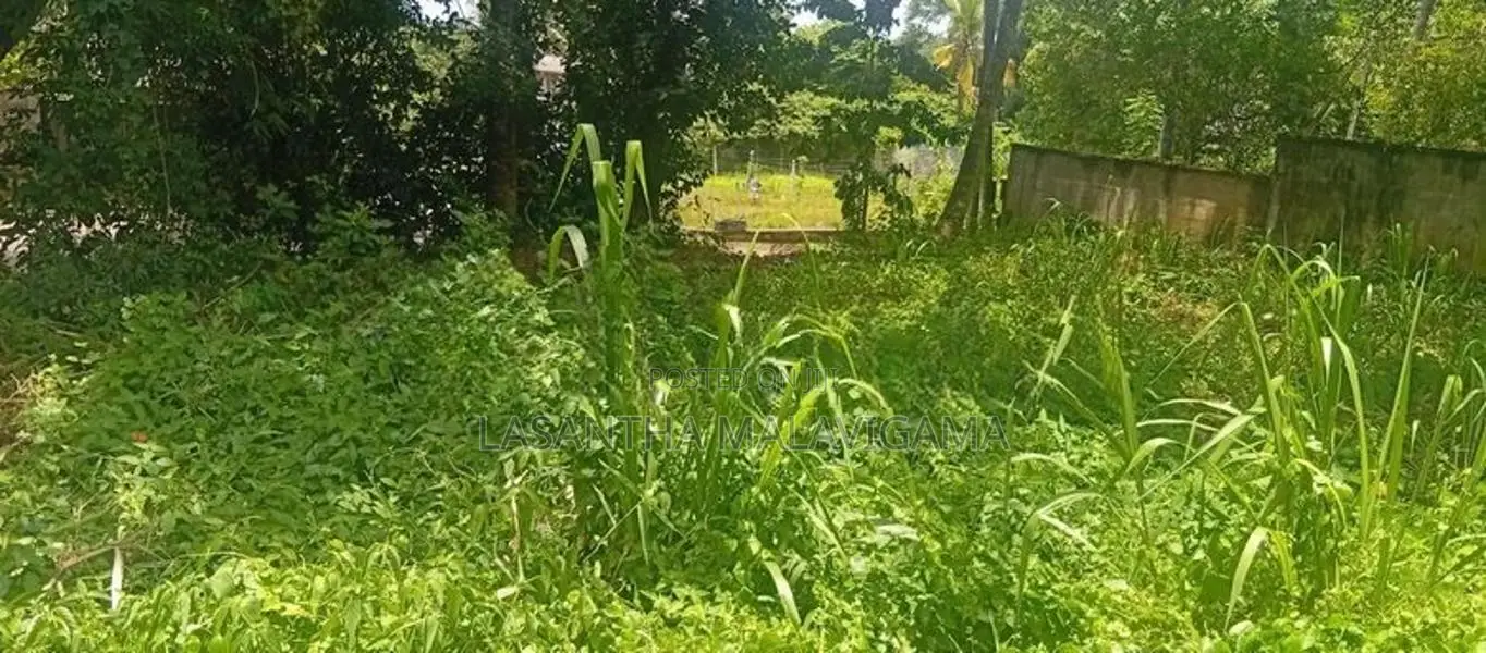 10 Perch Land for Sale in Vihara Mawatha