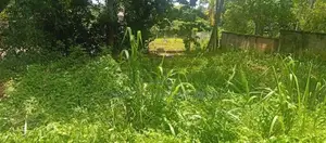 10 Perch Land for Sale in Vihara Mawatha