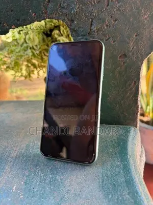 Apple iPhone 11 (Used)