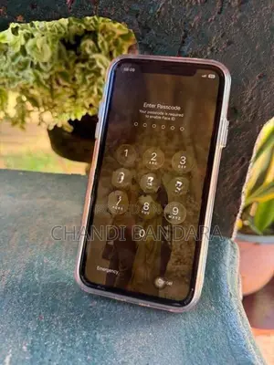 Apple iPhone 11 (Used)