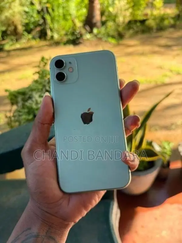 Apple iPhone 11 (Used)