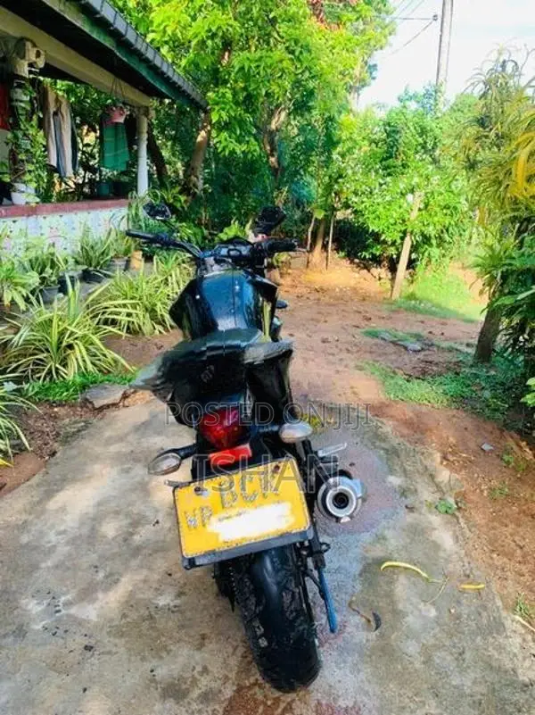 Yamaha FZ V2 2015