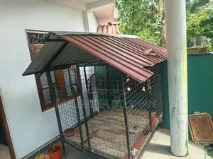 Dog Cage