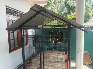 Dog Cage