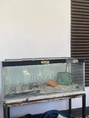 Fish Tank