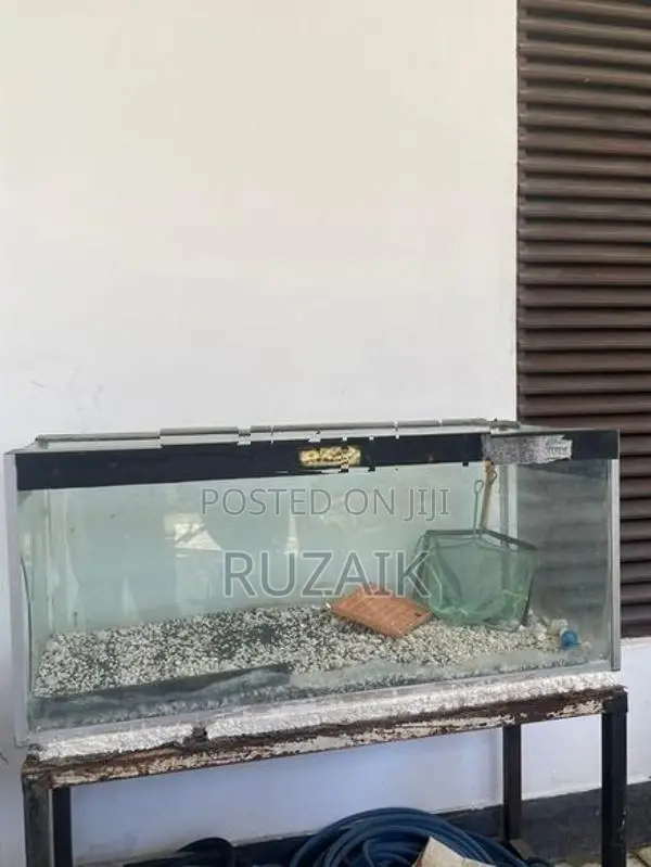 Fish Tank