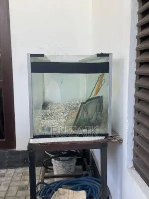 Fish Tank