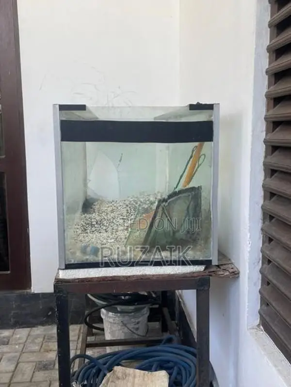 Fish Tank