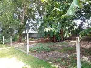 6.63 Perch Land In Moratuwa Katubedda