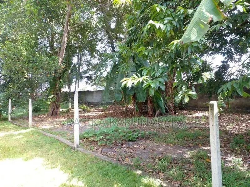 6.63 Perch Land In Moratuwa Katubedda