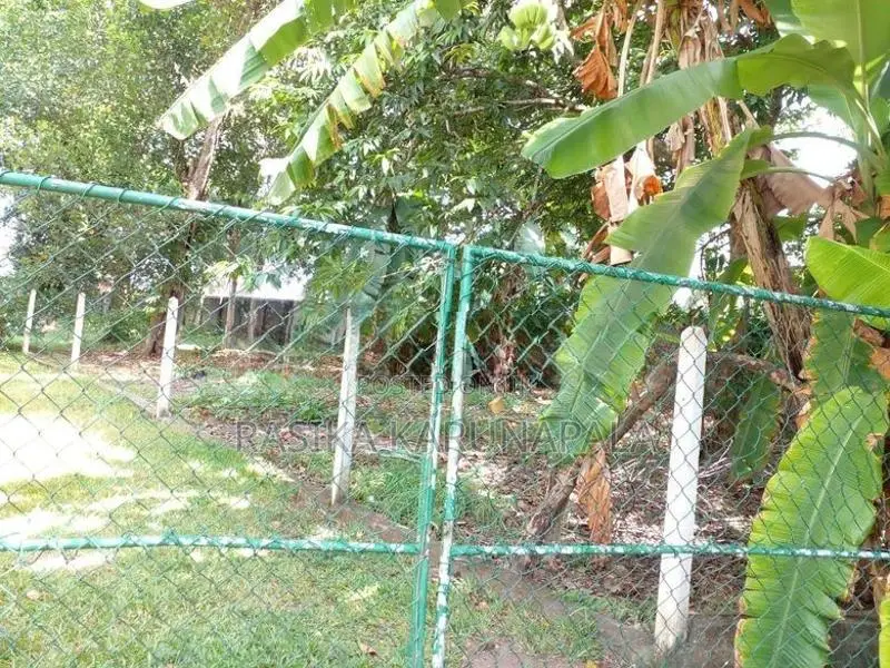 6.63 Perch Land In Moratuwa Katubedda