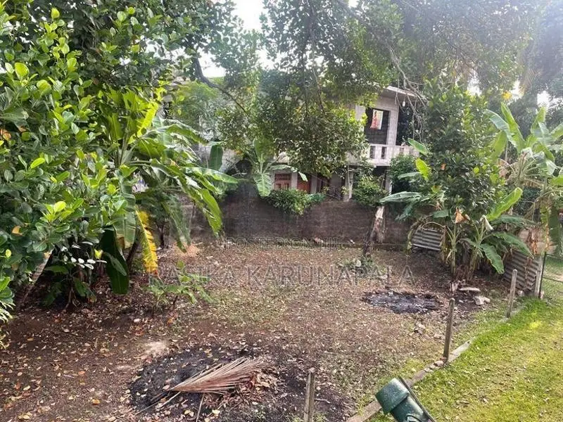 6.63 Perch Land In Moratuwa Katubedda