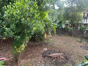6.63 Perch Land In Moratuwa Katubedda