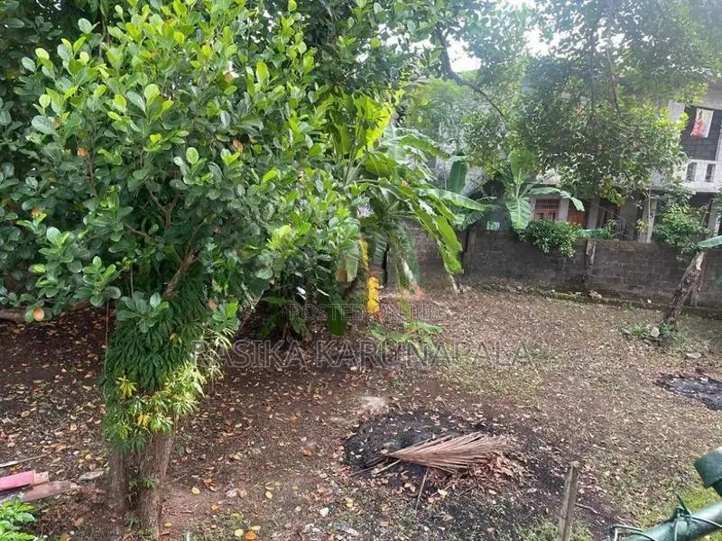 6.63 Perch Land In Moratuwa Katubedda