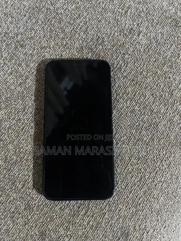 Apple iPhone 12 mini (Used)