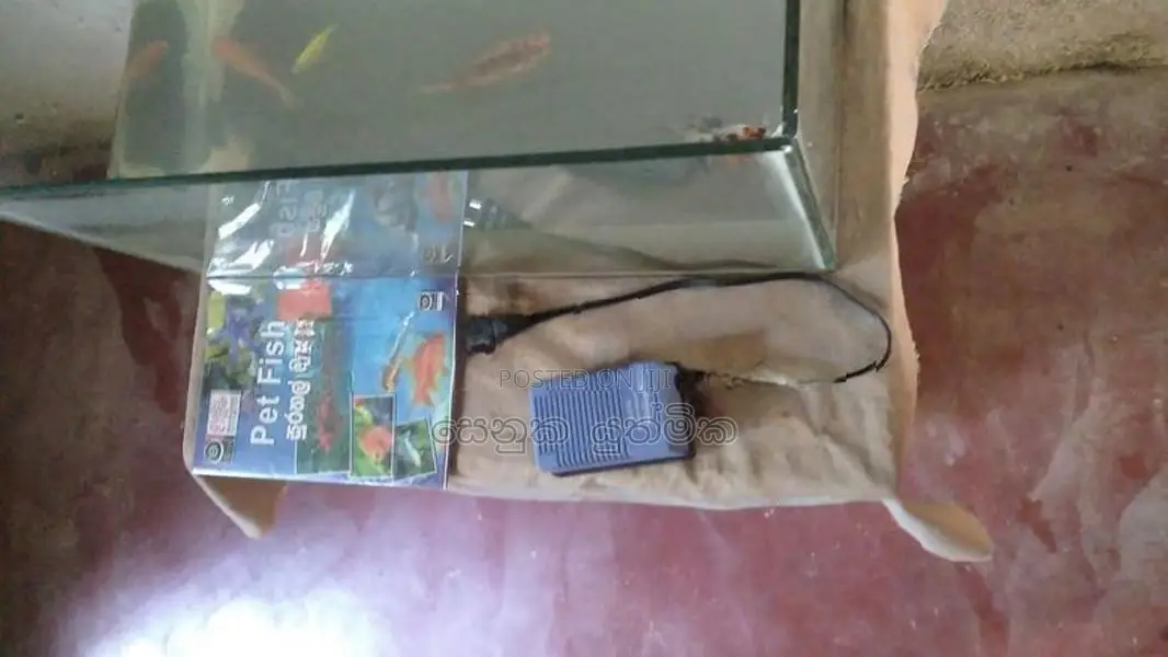 මාළු ටැංකියක්