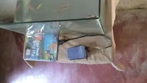 මාළු ටැංකියක්