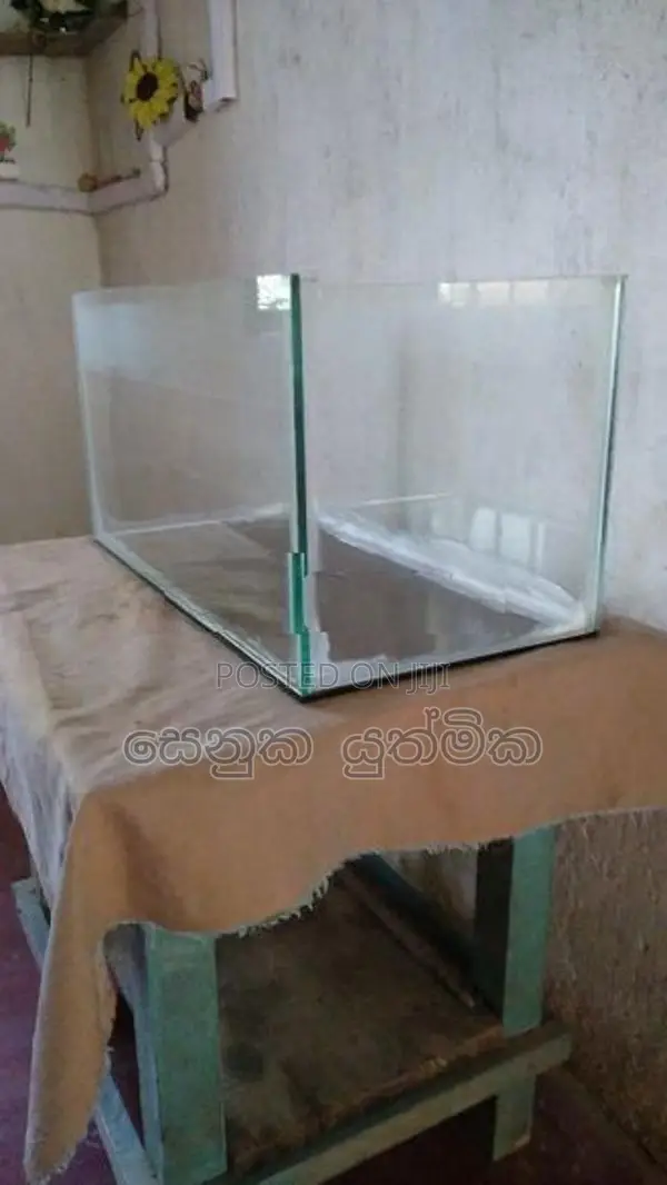 මාළු ටැංකියක්