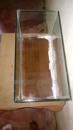 මාළු ටැංකියක්