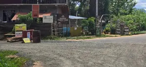 Land For Sale in Sigiriya - සීගිරියෙන් අනර්ග ඉඩමක් විකිණීමට