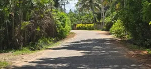 Land For Sale in Sigiriya - සීගිරියෙන් අනර්ග ඉඩමක් විකිණීමට