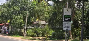Land For Sale in Sigiriya - සීගිරියෙන් අනර්ග ඉඩමක් විකිණීමට