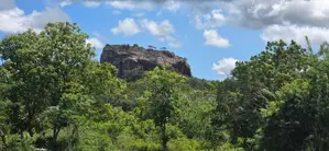 Land For Sale In Sigiriya - සීගිරියෙන් අනර්ග ඉඩමක් විකිණීමට