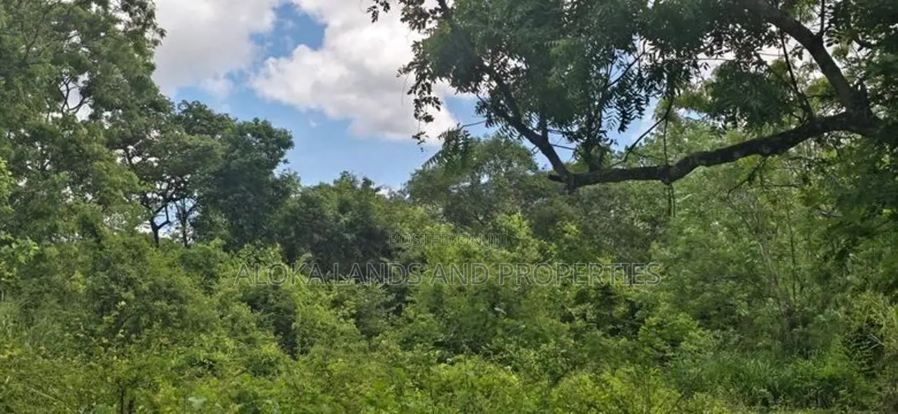 Land For Sale In Sigiriya - සීගිරියෙන් අනර්ග ඉඩමක් විකිණීමට
