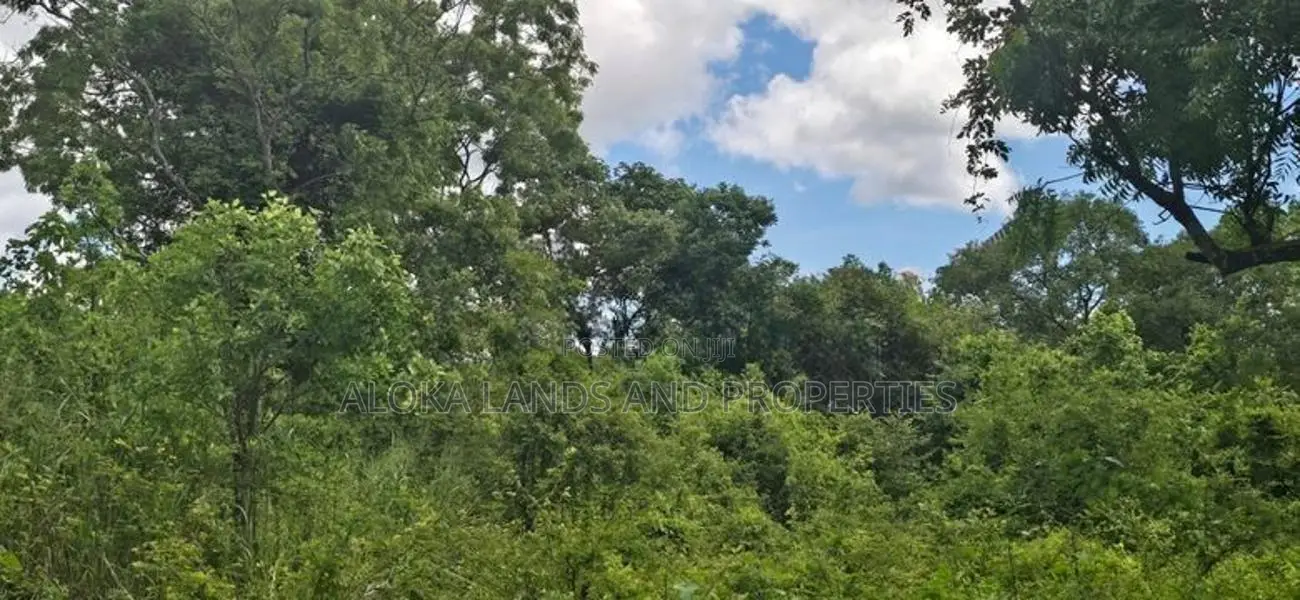 Land For Sale In Sigiriya - සීගිරියෙන් අනර්ග ඉඩමක් විකිණීමට