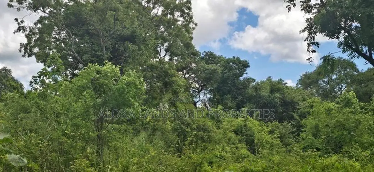 Land For Sale In Sigiriya - සීගිරියෙන් අනර්ග ඉඩමක් විකිණීමට