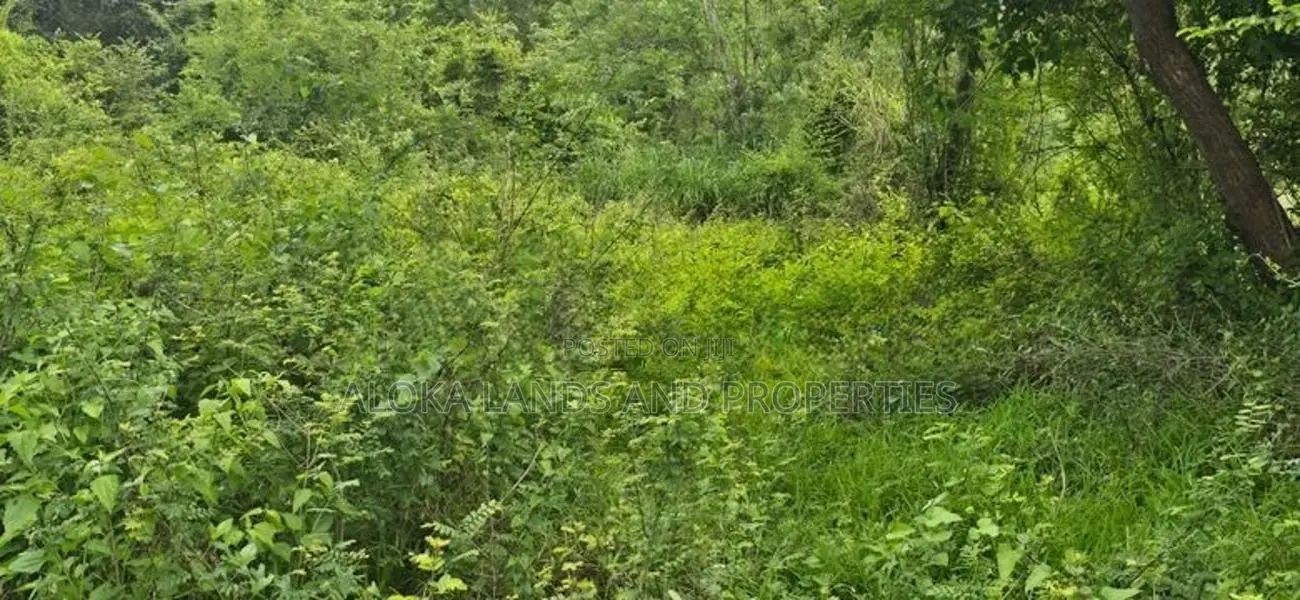 Land For Sale In Sigiriya - සීගිරියෙන් අනර්ග ඉඩමක් විකිණීමට